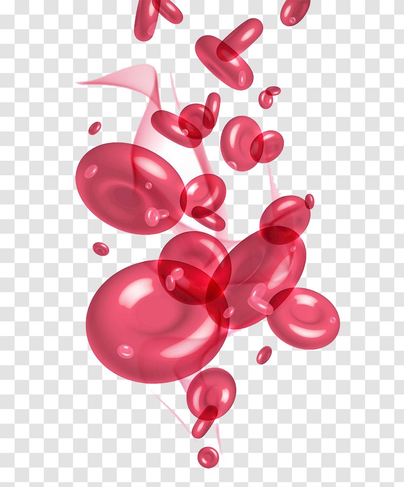 Red Blood Cell Plasma Platelet - Lovely Graphics Transparent PNG