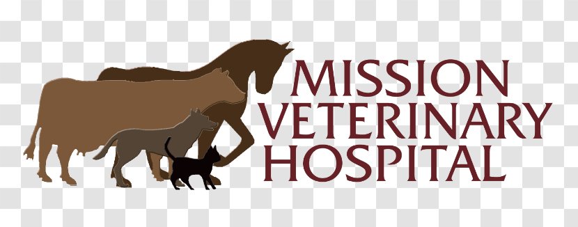 Cattle Mission Veterinary Hospital Veterinarian Clinique Vétérinaire Horse - Pharmacist Transparent PNG