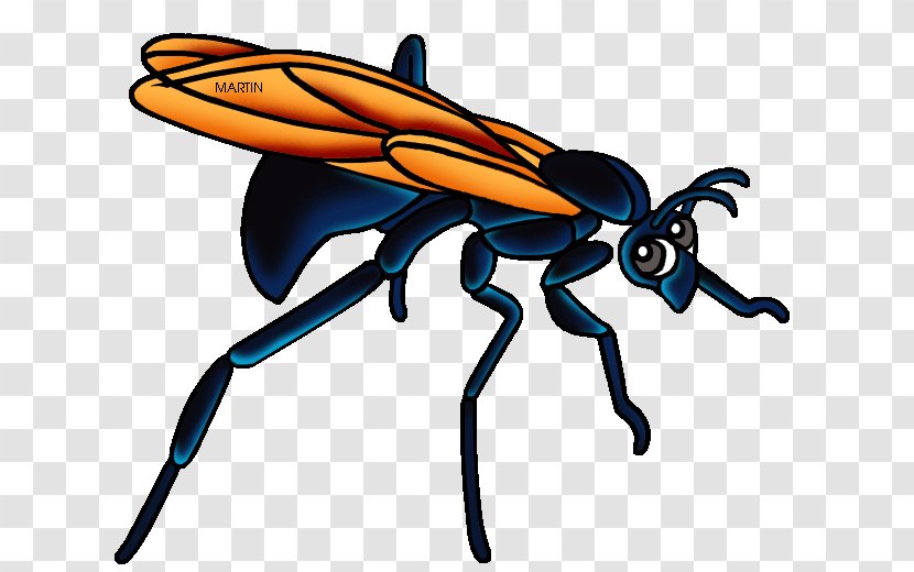 Bee Background - Mud Dauber - Wing Carpenter Transparent PNG