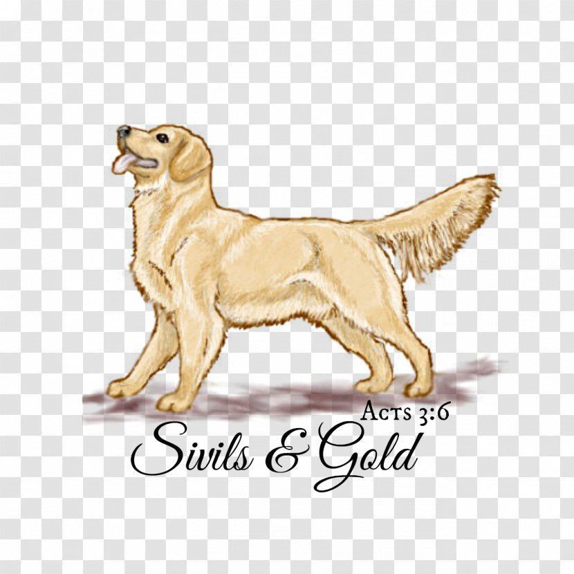 Golden Retriever Nova Scotia Duck Tolling Puppy Dog Breed Companion - Tail Transparent PNG