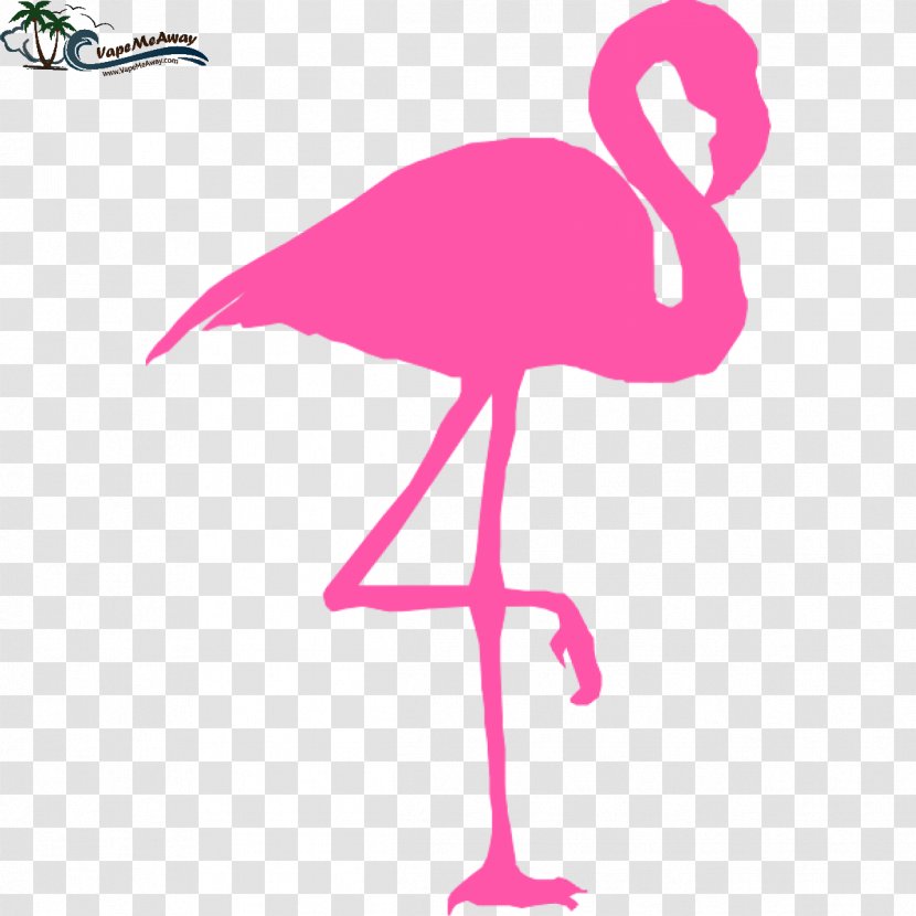 Flamingo Pink Clip Art - Organism Transparent PNG