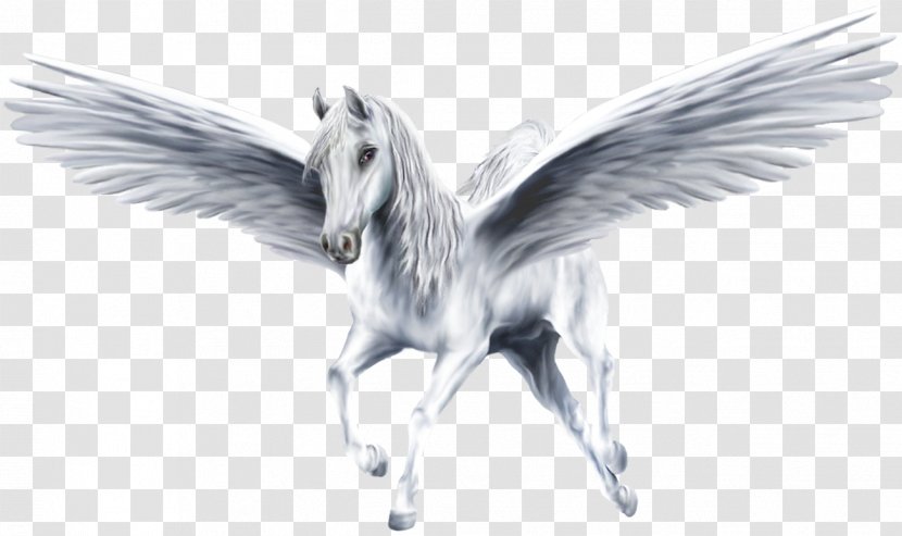 Pegasus Winged Unicorn Horse - Black And White Transparent PNG