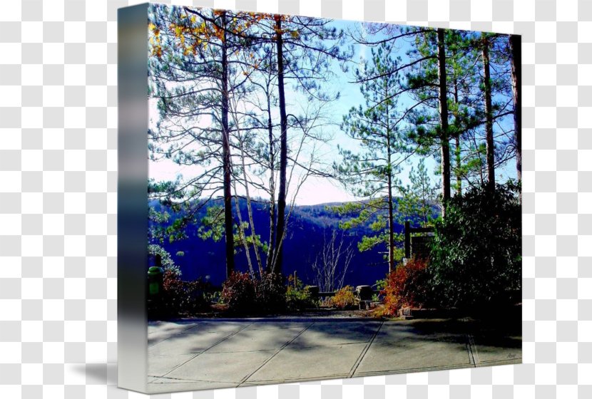 Window Majorelle Garden Blue Painting Glass - Nature - Overlook Transparent PNG