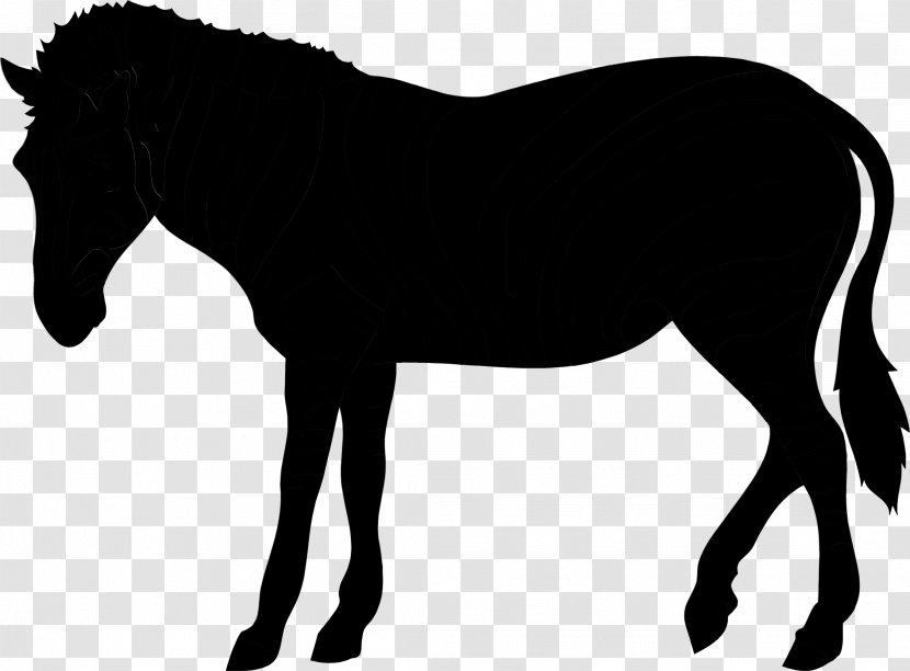 Mustang Mule Mare Clip Art Pony - Pack Animal - Horse Transparent PNG