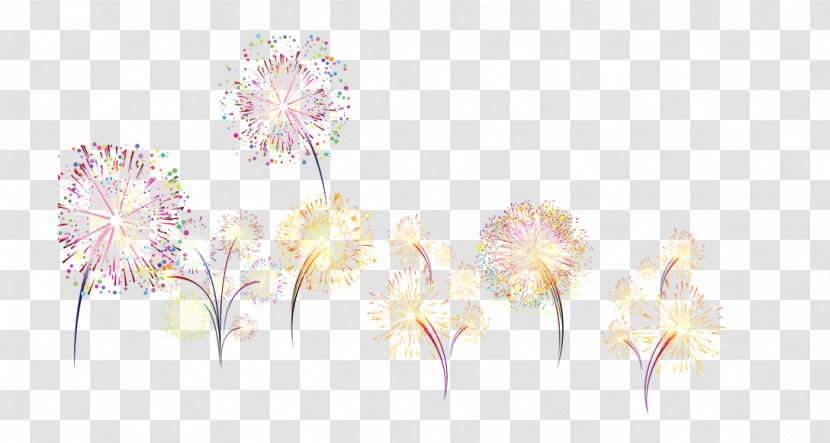 Floral Design Cut Flowers Pattern - Flower - Fireworks Transparent PNG