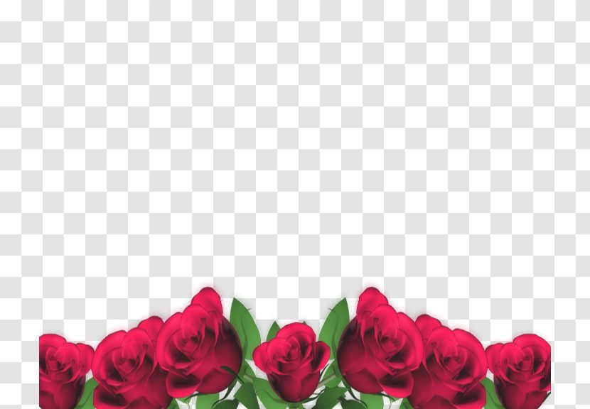 Love God Blessing Friendship Day - Garden Roses - Burgundy Flowers Transparent PNG