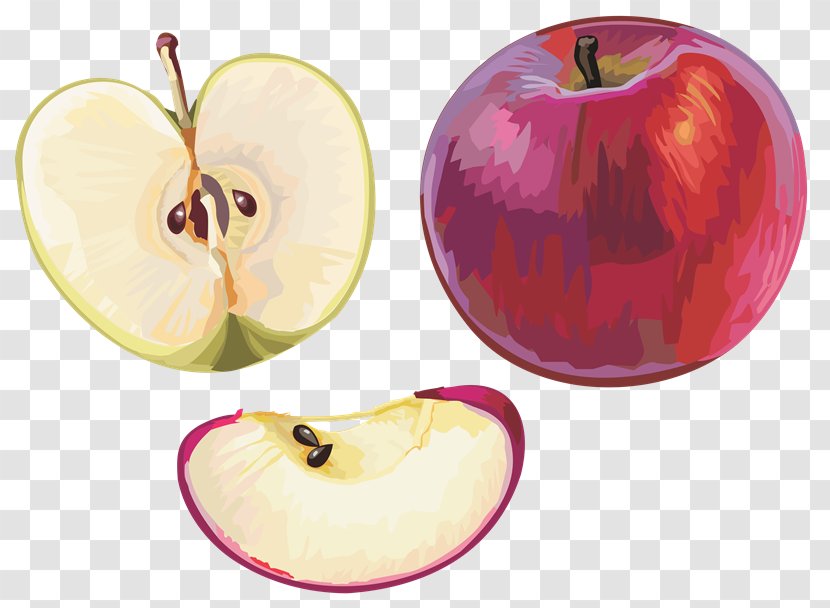 Apple Fruit PhotoScape Clip Art - Mcintosh - Verdura Transparent PNG