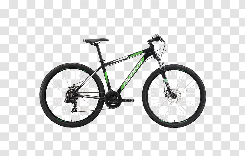 avanti mtb