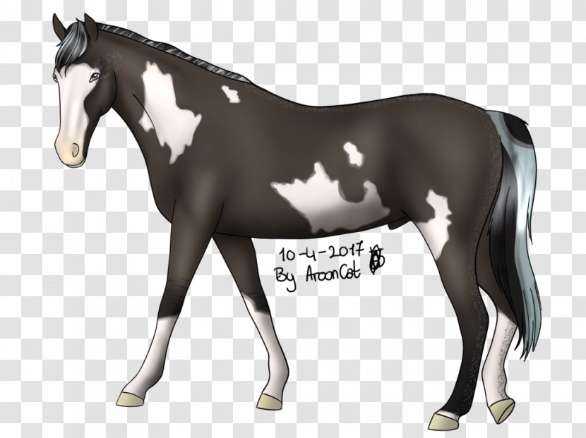 Stallion Mustang Mare Foal Colt Transparent PNG