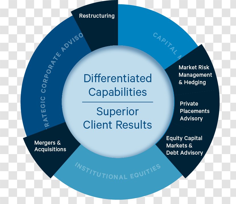 Organization Wealth Management Evercore Partners Capital Market - Diagram - Business Transparent PNG