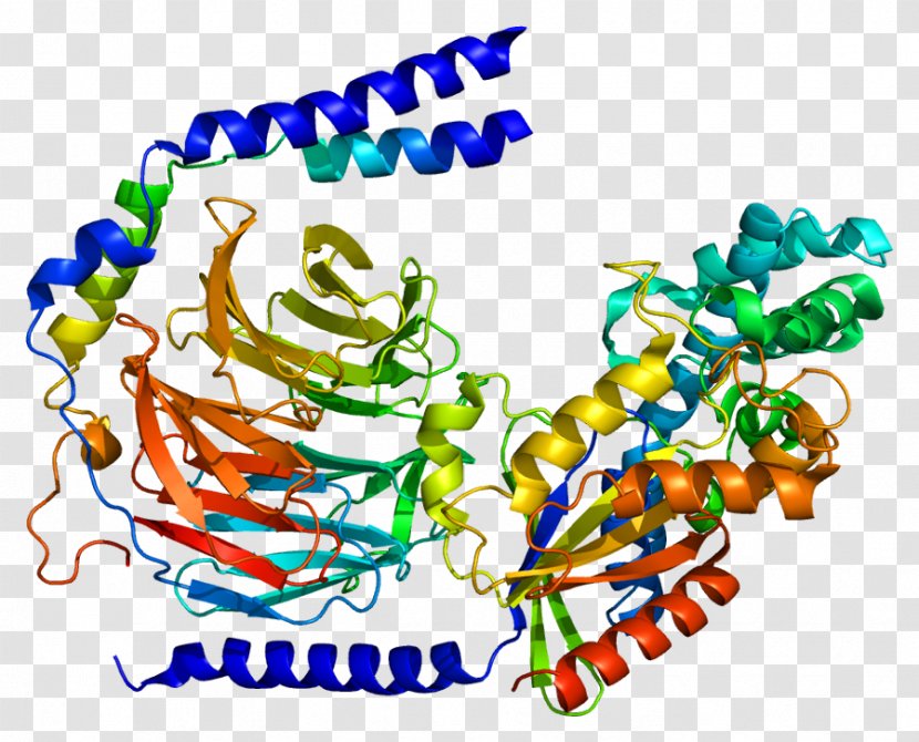 Wikipedia Gene Protein Subunit GNG2 - Tree - Watercolor Transparent PNG