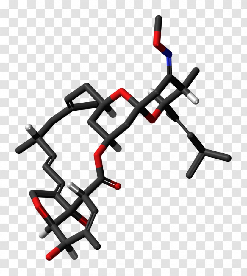 Moxidectin Worm Helminths Chemical Compound Anthelmintic - Dog - Skeleton Transparent PNG
