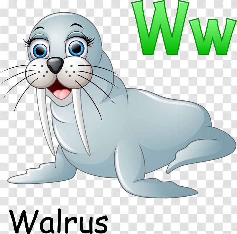 Walrus Cartoon Illustration - Animation - Sea Lion Material Transparent PNG