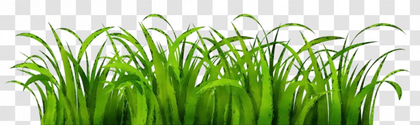 Green Leaf Logo - Meadow - Flower Transparent PNG