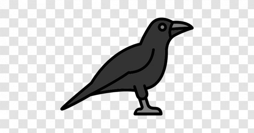 American Crow New Caledonian Common Raven Bird - Silhouette - Vector Transparent PNG
