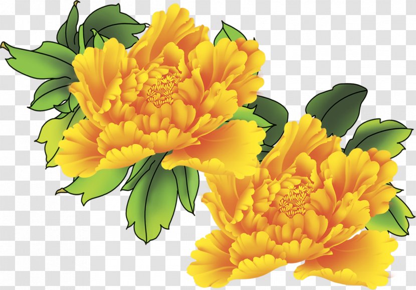 Cut Flowers Floral Design Floristry Pot Marigold - Flower Transparent PNG