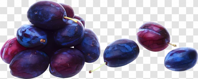 Fruit Tree - Common Plum - Vitis Superfruit Transparent PNG