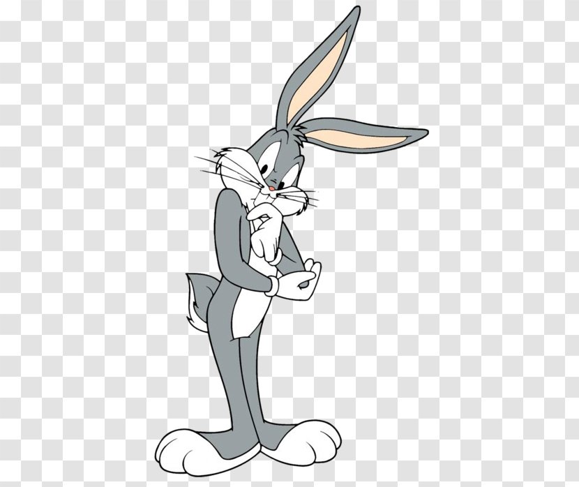Bugs Bunny Elmer Fudd Tasmanian Devil Melissa Duck Daffy - Flower - Rabbit Transparent PNG