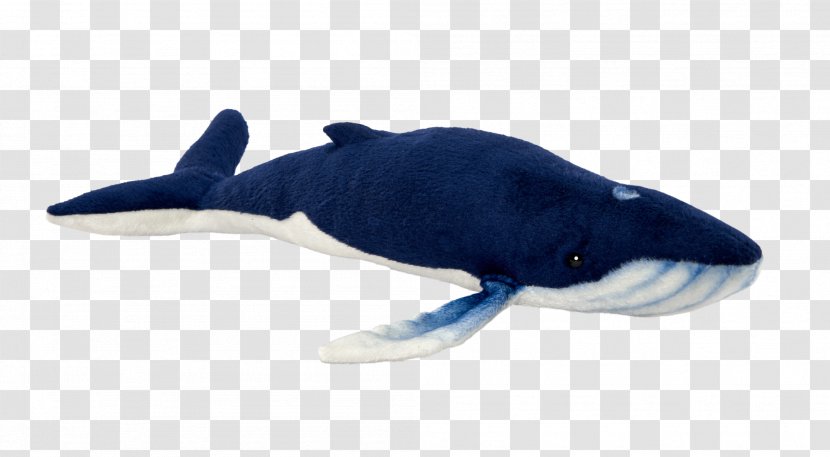 Porpoise Cobalt Blue Cetacea Dolphin Transparent PNG