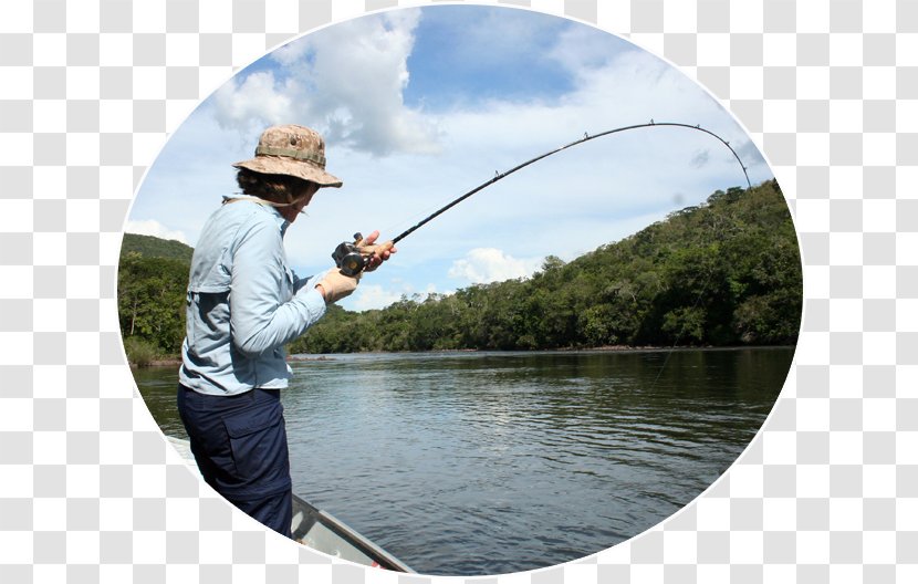 Fly Fishing Rods Angling Casting Fisherman - Recreation Transparent PNG