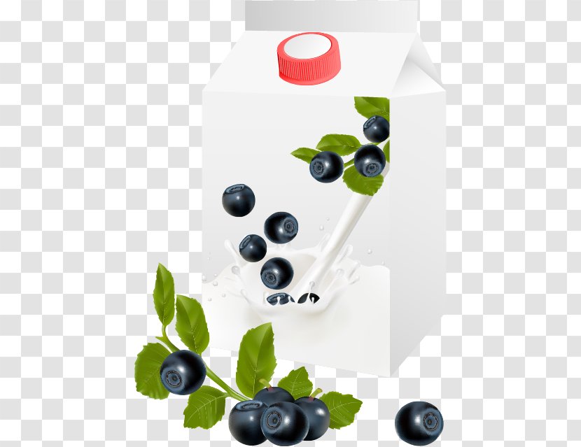 Blueberry Fruit Euclidean Vector - Bilberry - Milk Transparent PNG