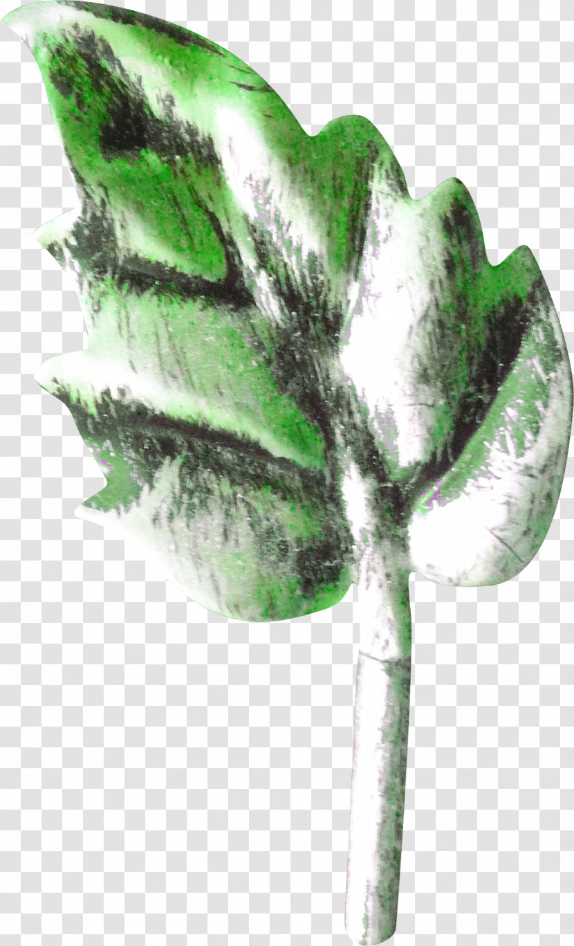 Maple Leaf Plant Stem Google Images - Green - Decorative Model Leaves Transparent PNG
