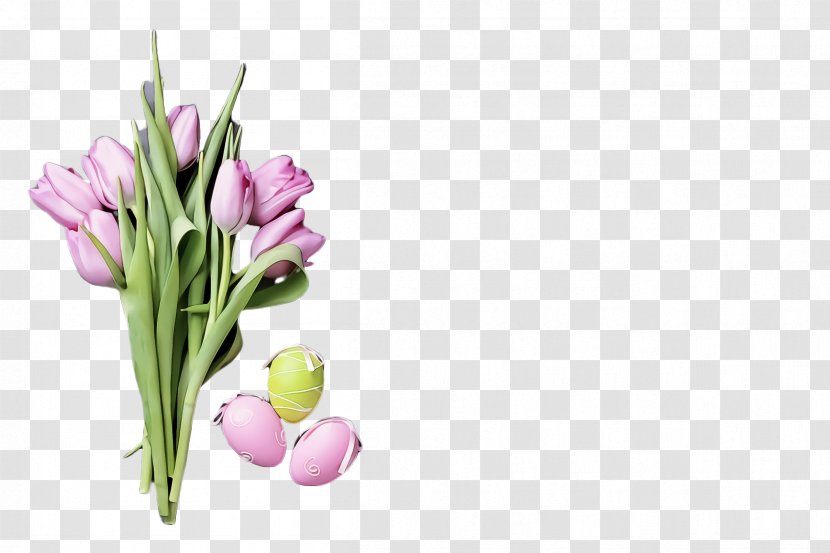Flower Plant Cut Flowers Tulip Petal - Bud - Lily Family Chives Transparent PNG