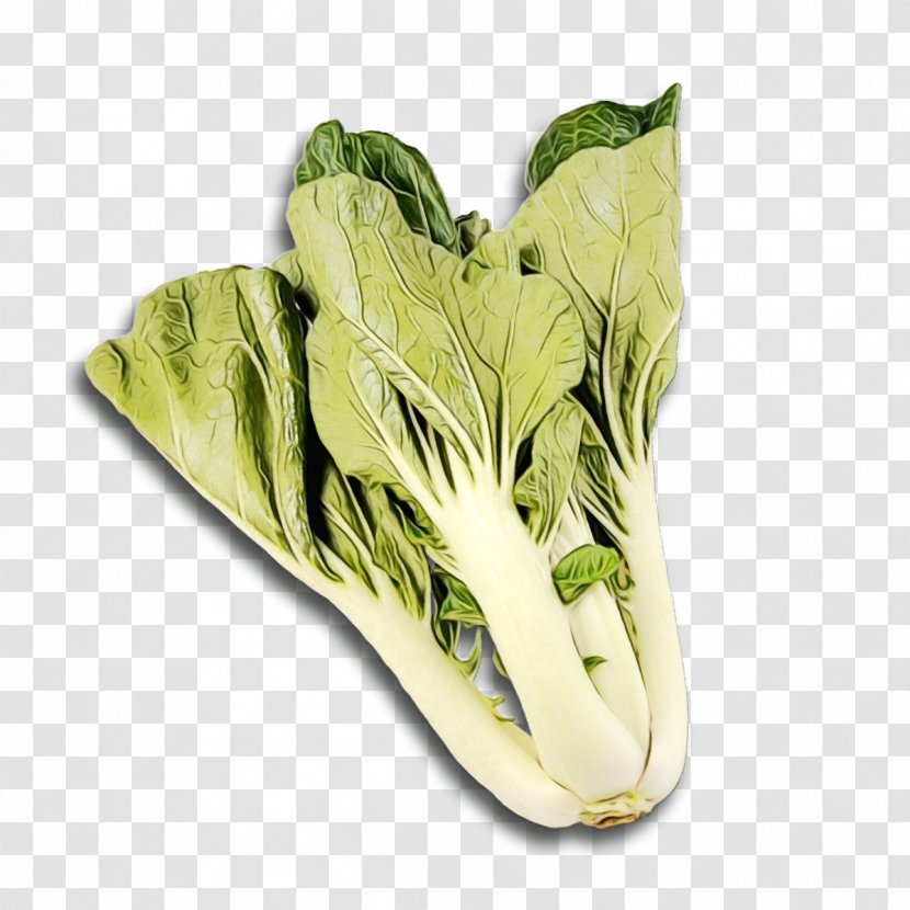 Spring Flower - Romaine Lettuce - Celtuce Radish Transparent PNG