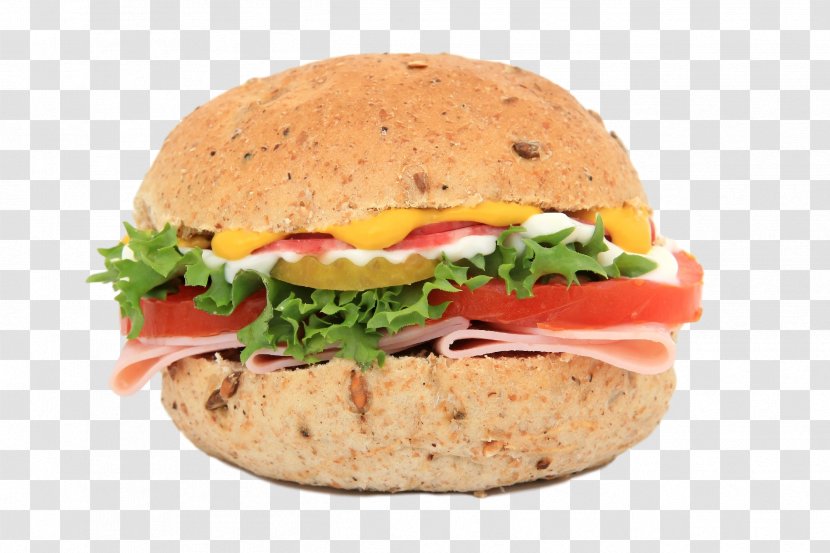 Hamburger Cheeseburger Ham And Cheese Sandwich - Sandwiches Transparent PNG