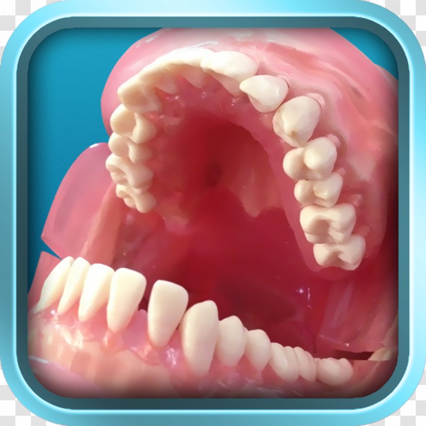 Tooth - Tongue - Creative Plans For Dental Treatment Transparent PNG