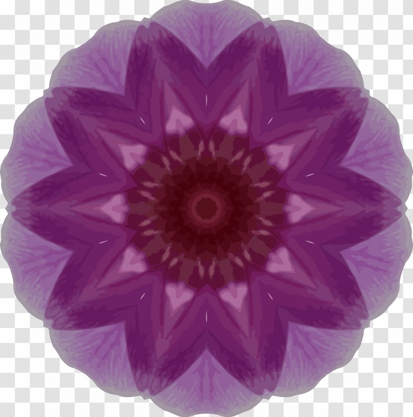 Orchids Kaleidoscope Clip Art - Flower - Orchid Transparent PNG