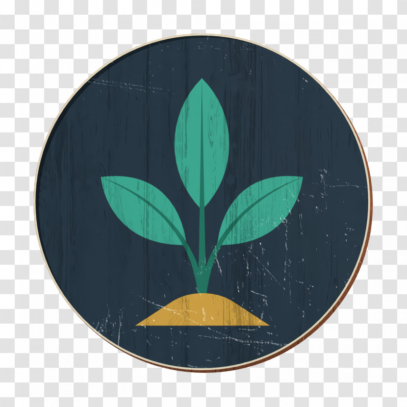 Sprout Icon Energy And Power Icon Tree Icon Transparent PNG