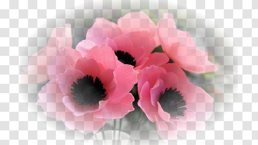 Anemone Flower Bouquet Artificial Cut Flowers - Garden Roses Transparent PNG