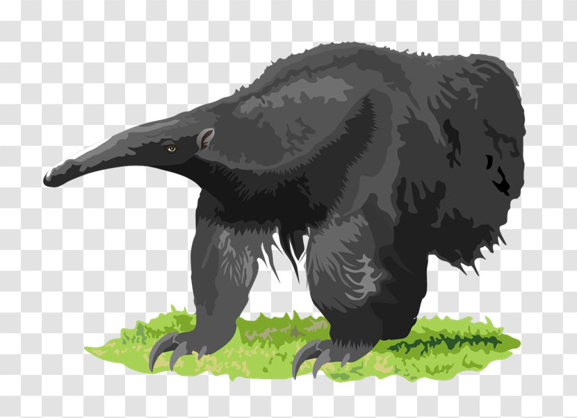 Anteater Southern Tamandua Aardvark Clip Art - Cliparts Transparent PNG