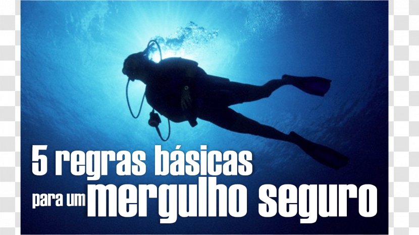 Scuba Diving Divemaster Advertising Water Set Transparent PNG
