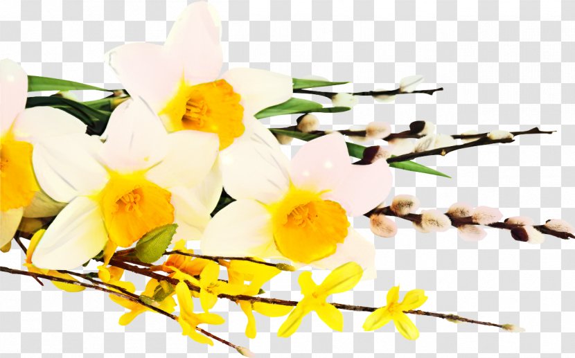 Flowers Background - Wildflower - Dendrobium Transparent PNG