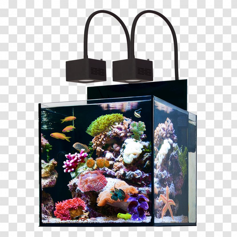 Reef Aquarium Protein Skimmer Sump Water - Tote Bag Transparent PNG