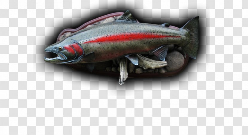 Sardine Fish Products 09777 Oily Mackerel - Animal Source Foods - Brook Trout Transparent PNG
