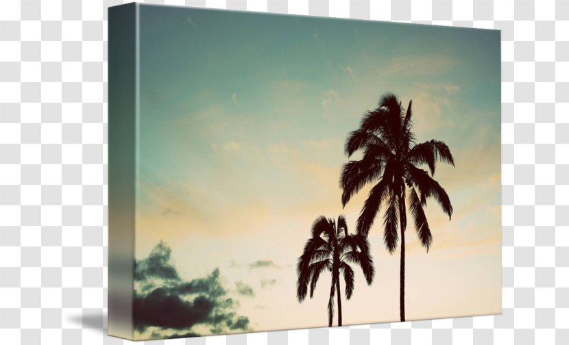 Painting Picture Frames Arecaceae Tree Sky Plc - Landscape - Overlooking The Coconut Transparent PNG
