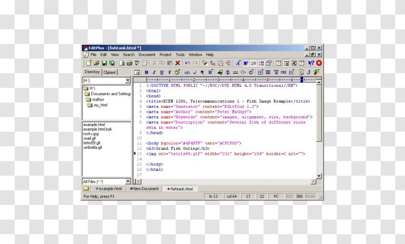 EditPlus Web Page HTML Editor Text - Source Code - Html Transparent PNG