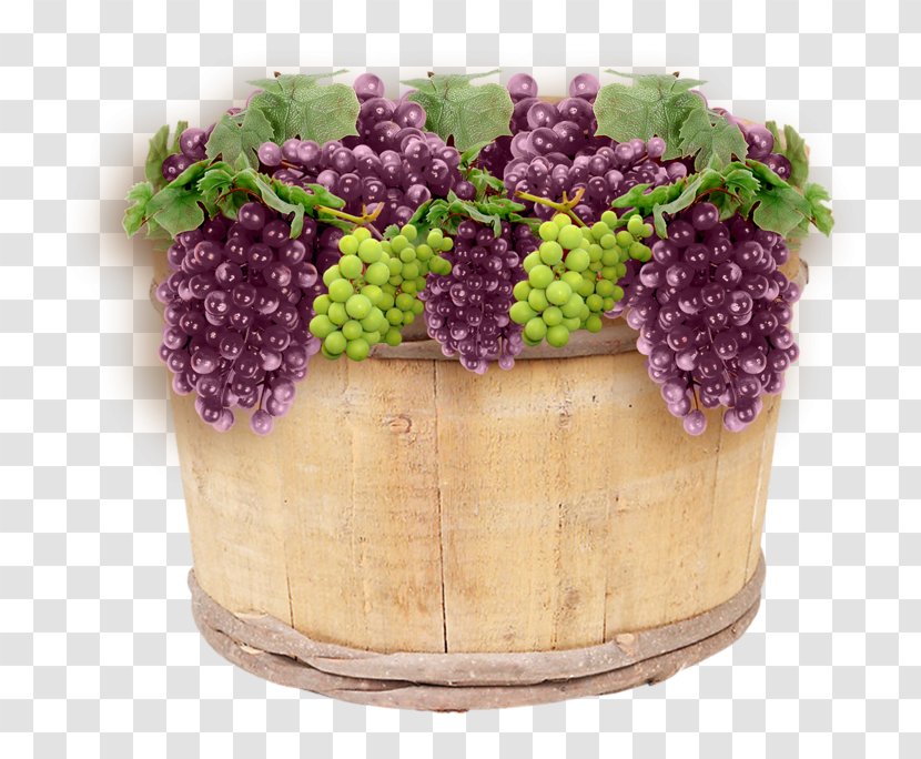 Common Grape Vine Harvest Quotation - Grapevine Family Transparent PNG