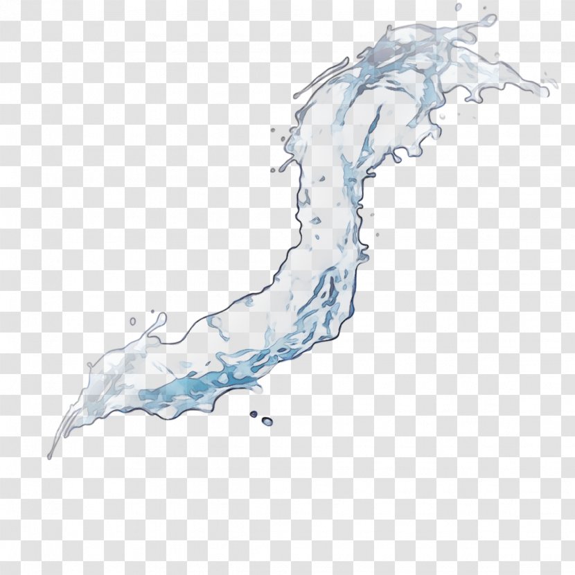 Water Organism Map Tuberculosis Transparent PNG