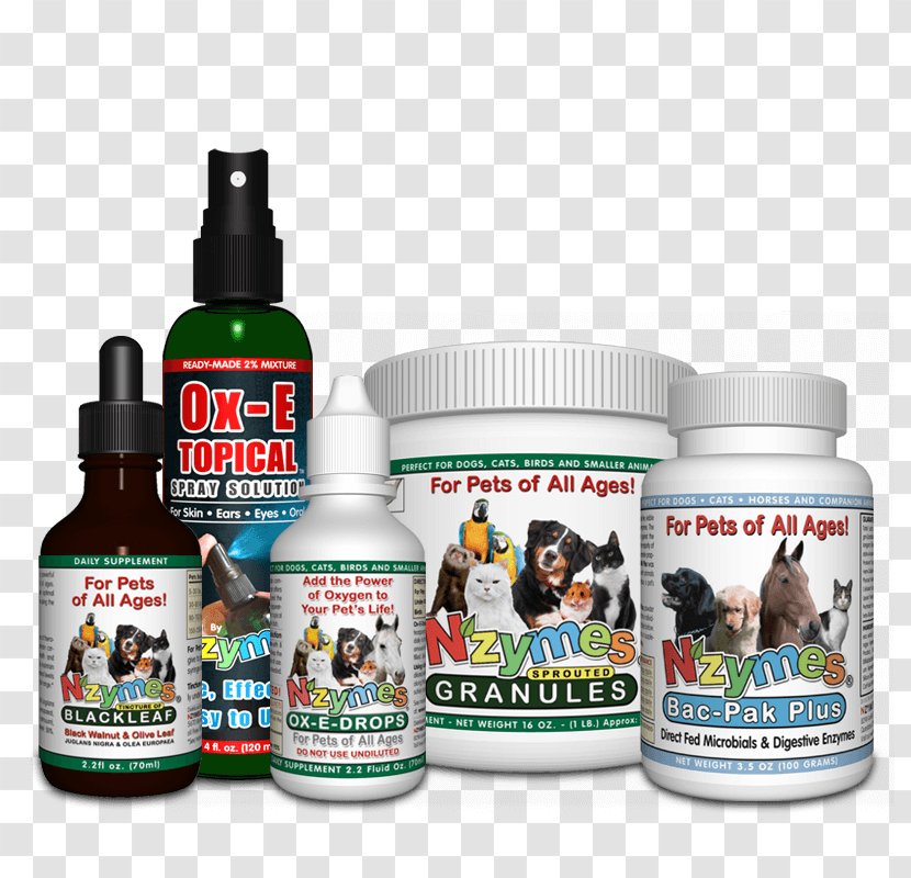 Allergy Allergies In Dogs Health Disease - Dog - Problem Skin Transparent PNG