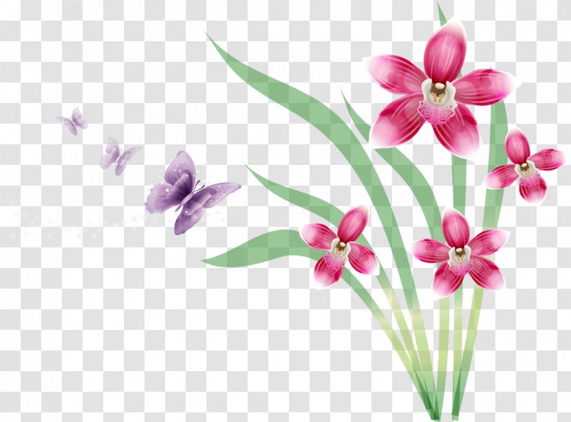 Butterfly Flower Orchids - Drawing Transparent PNG