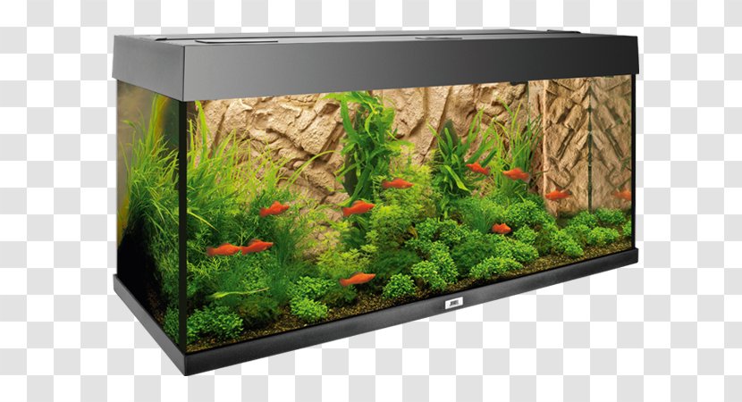 Clay Aquarium Rock Silicon Fish - Plant Transparent PNG