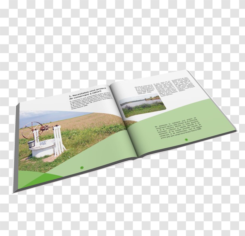 Brand Brochure - Tam Transparent PNG