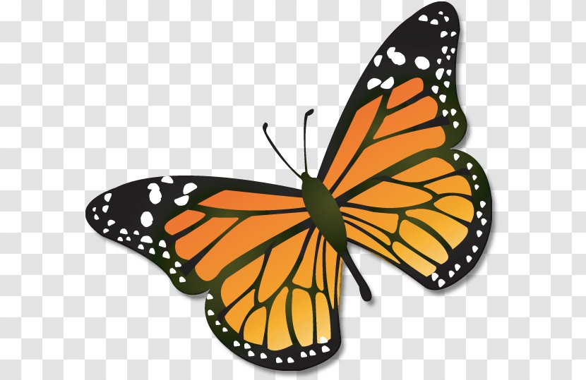 Monarch Butterfly Insect Clip Art - Frame - Cartoon Transparent PNG