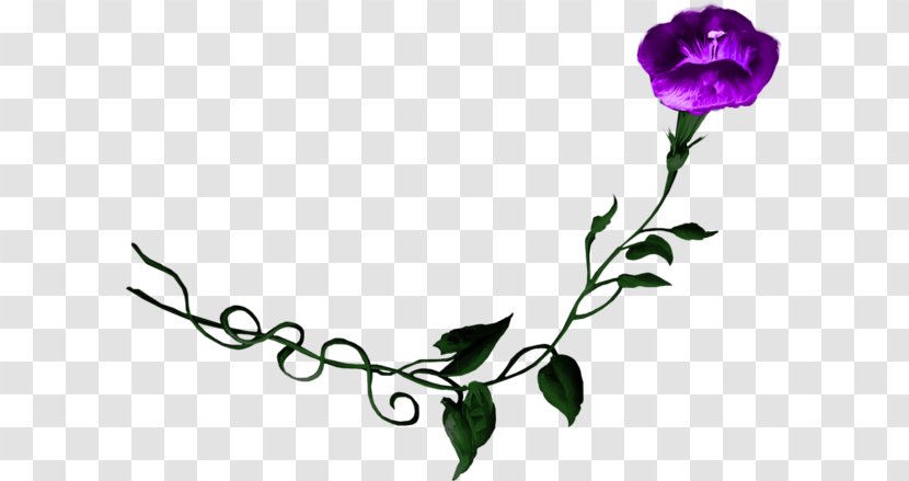 Floral Design Purple Flower Morning Glory Rose - Floristry Transparent PNG