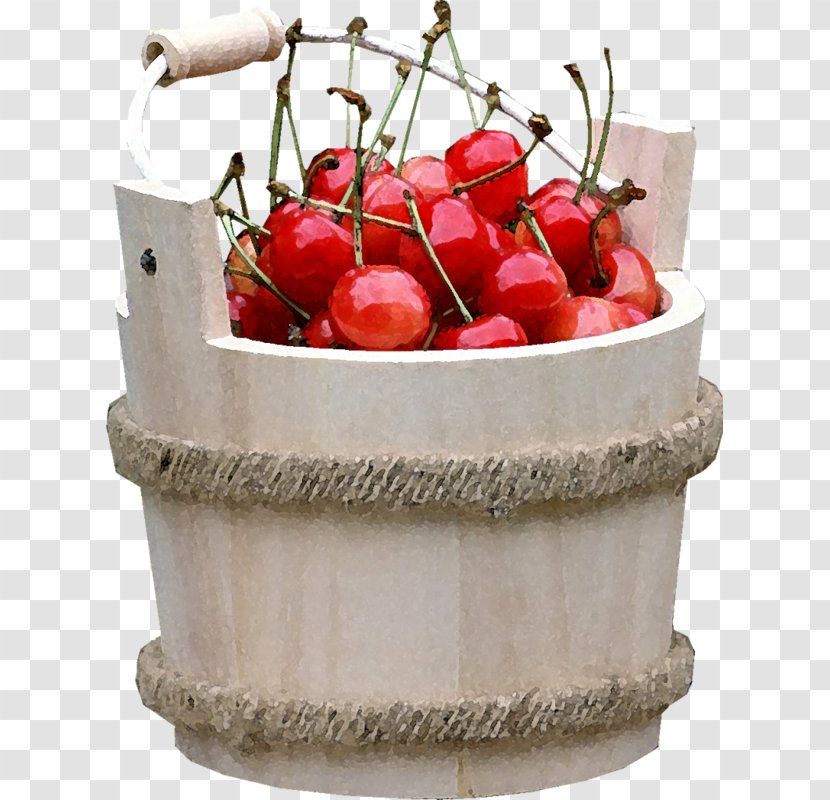 Cherry Guignolet Fruit - Cerasus - Red Transparent PNG