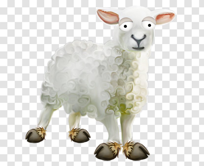 Sheep–goat Hybrid Desktop Wallpaper Clip Art - Ovis - Sheep Transparent PNG